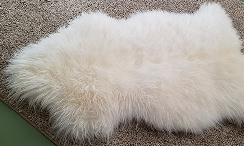 Yoga and meditation session in Las Vegas with practitioners on sheepskin mats.