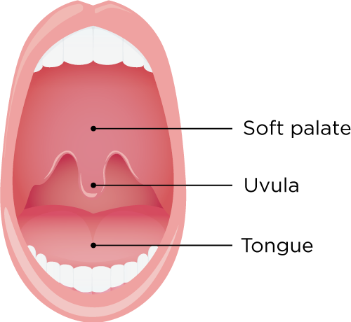 Tongue – A close-up image of the tongue, possibly used in Ayurvedic or yoga practices for health and diagnostics.